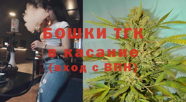 ПСИЛОЦИБИНОВЫЕ ГРИБЫ Верея