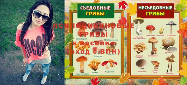 бошки Верхний Тагил