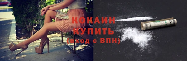 ПСИЛОЦИБИНОВЫЕ ГРИБЫ Верея