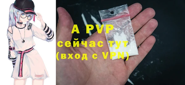ПСИЛОЦИБИНОВЫЕ ГРИБЫ Верея