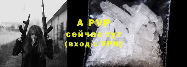 ПСИЛОЦИБИНОВЫЕ ГРИБЫ Верея