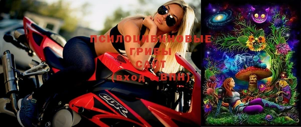 ПСИЛОЦИБИНОВЫЕ ГРИБЫ Верея