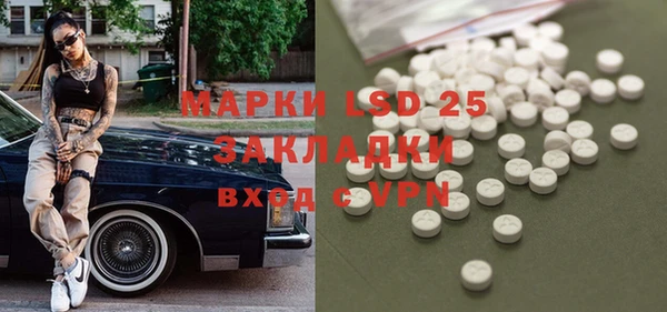 ПСИЛОЦИБИНОВЫЕ ГРИБЫ Верея