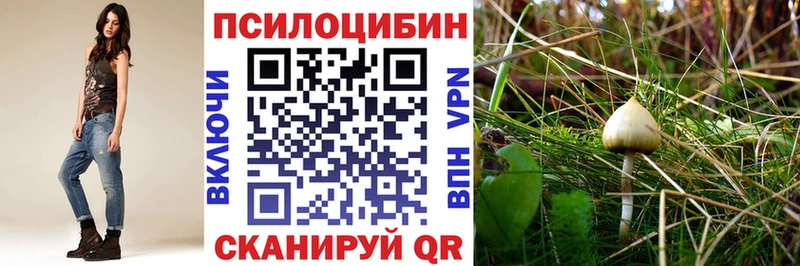 Купить  Гдов  Галлюциногенные грибы Psilocybine cubensis 